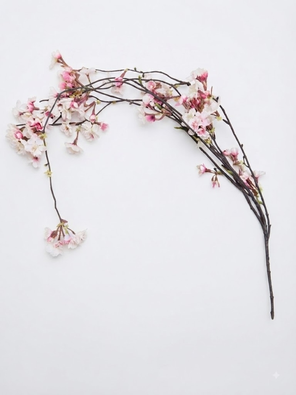 Anthropologie Terrain Cherry Blossom Cascading Faux Floral Draped Stem